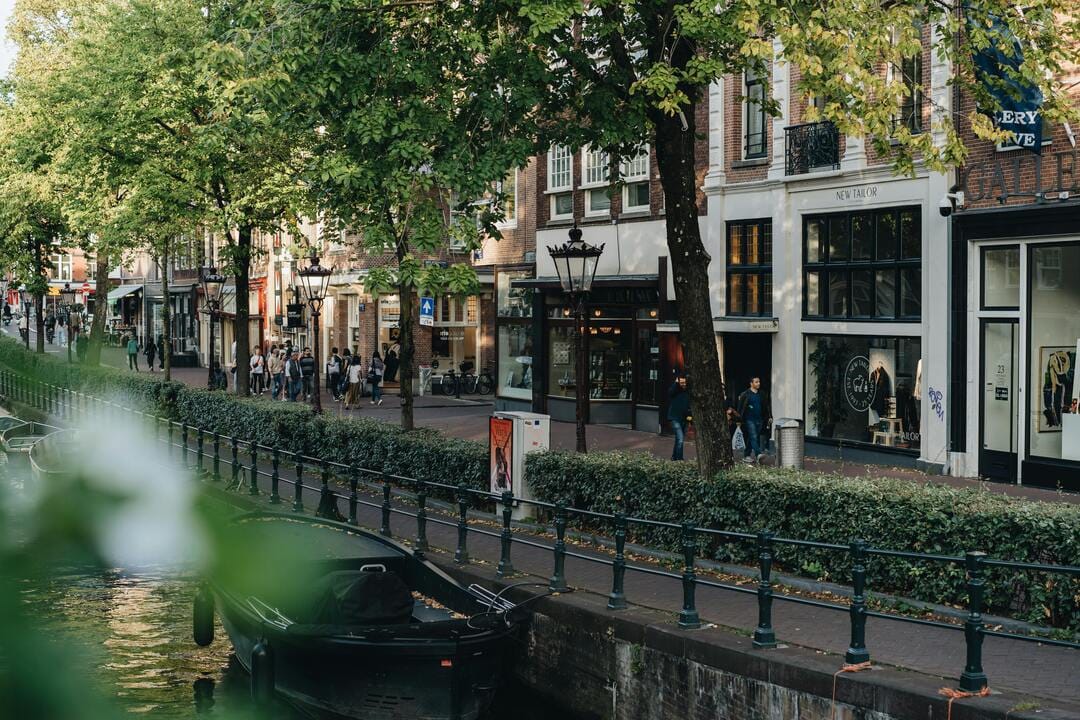 Rua movimentada, arborizada com passeio amplo, vitrines, e faixa para ciclistas.